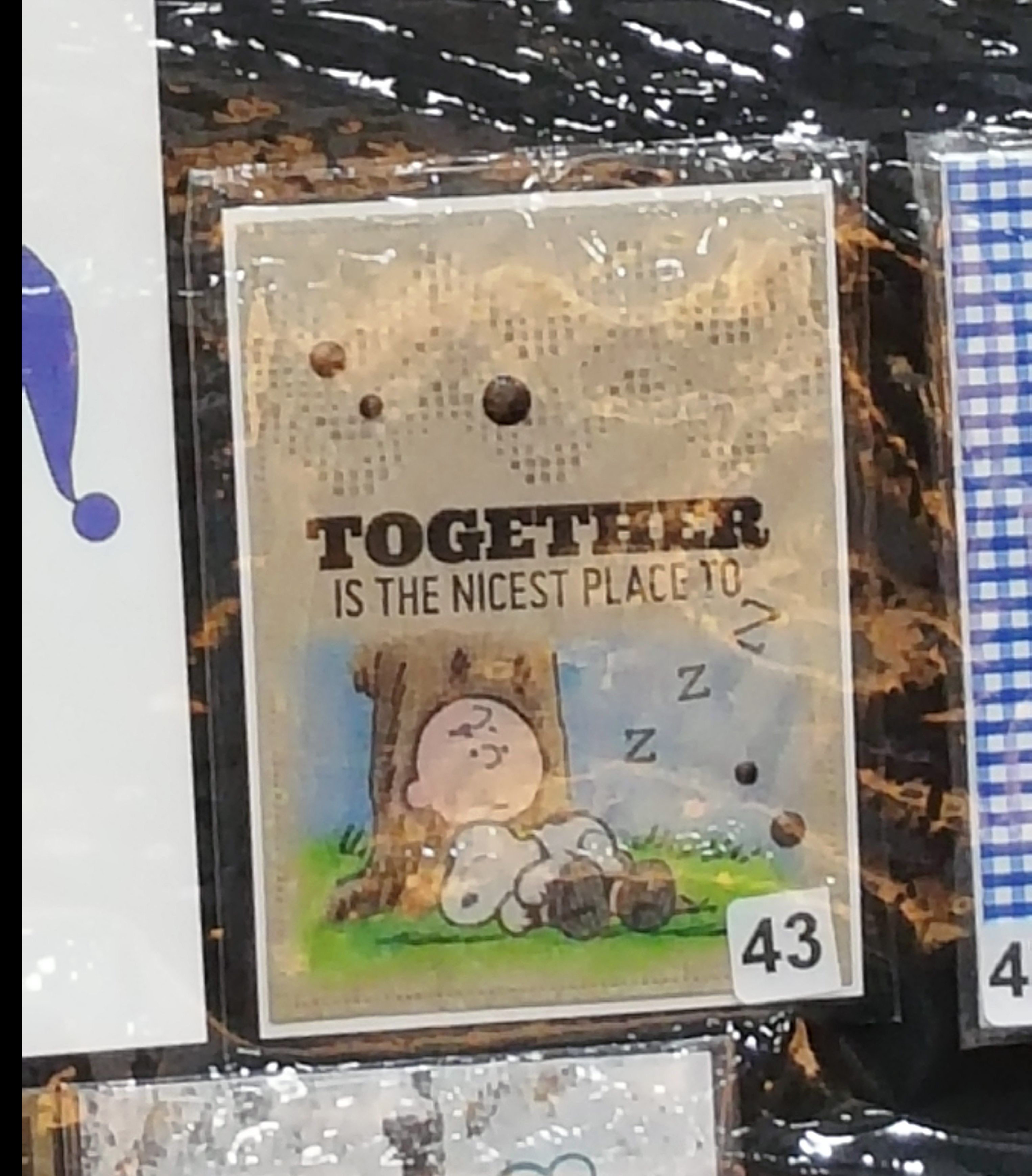 Nap time context snoopy