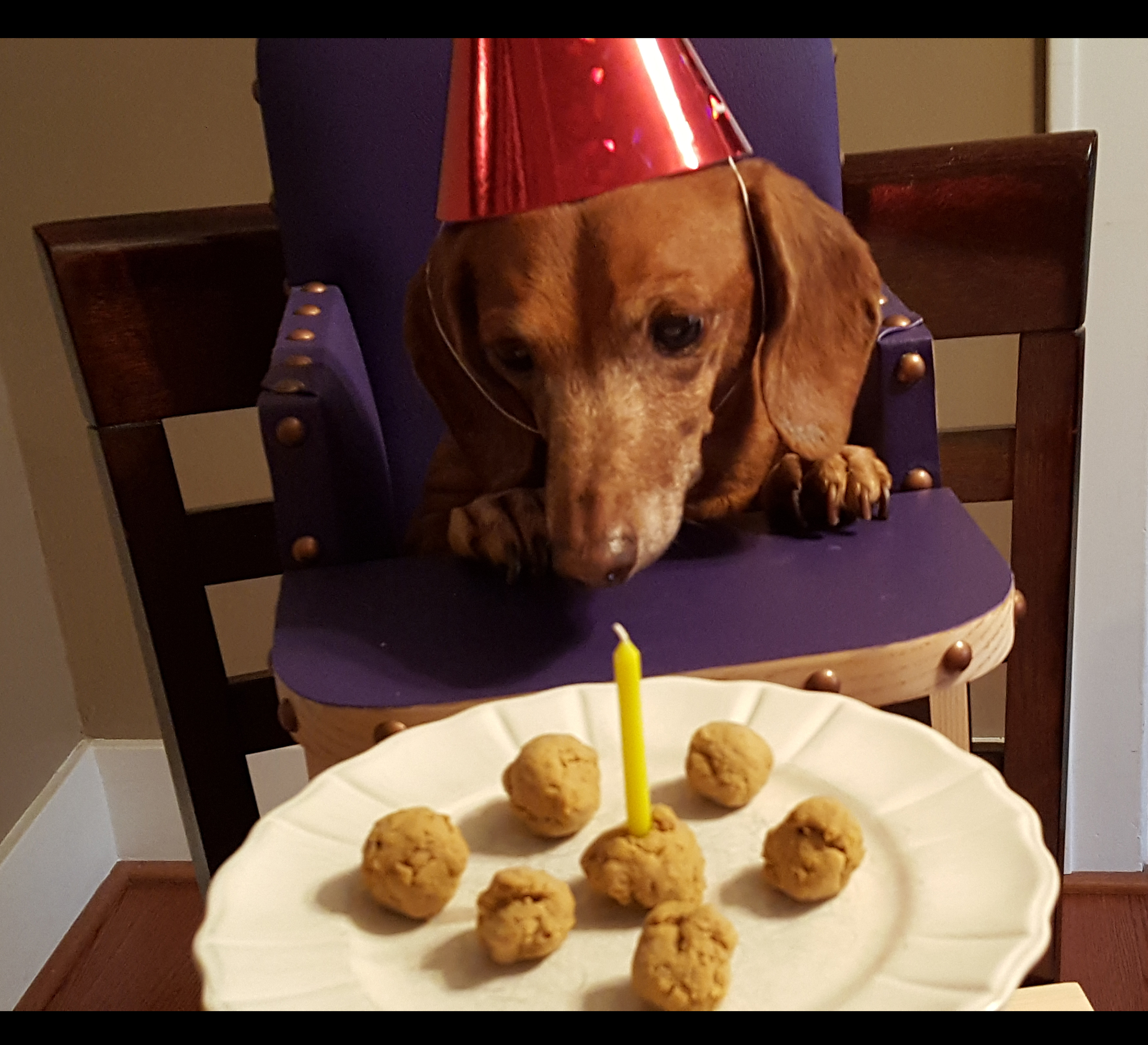 Mocca turns twelve