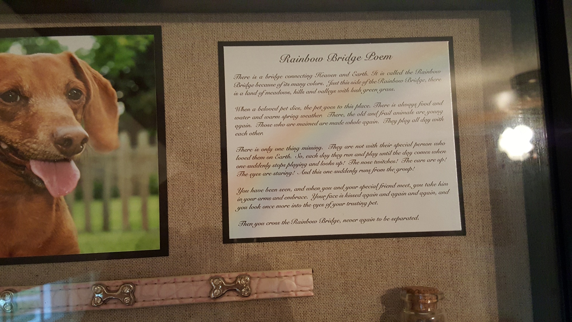 Vicki-Mocca shadow box1