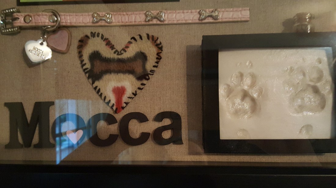 Vicki-Mocca shadow box2