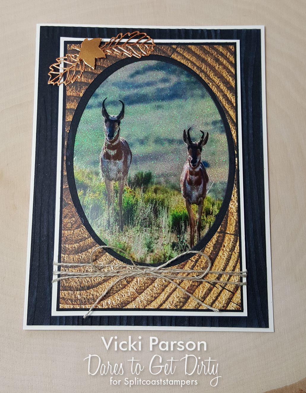 Vicki-DTGD18stampersandee