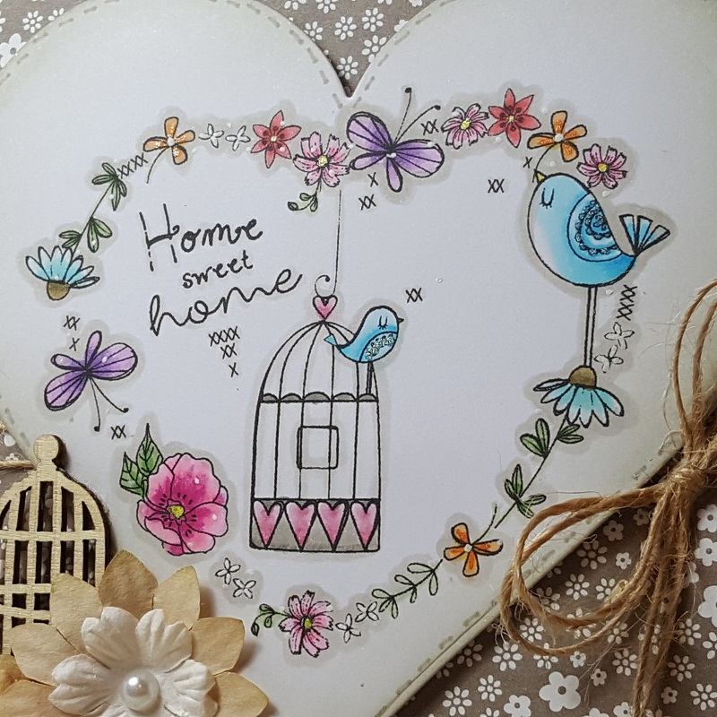 vicki-cct564-adu-close