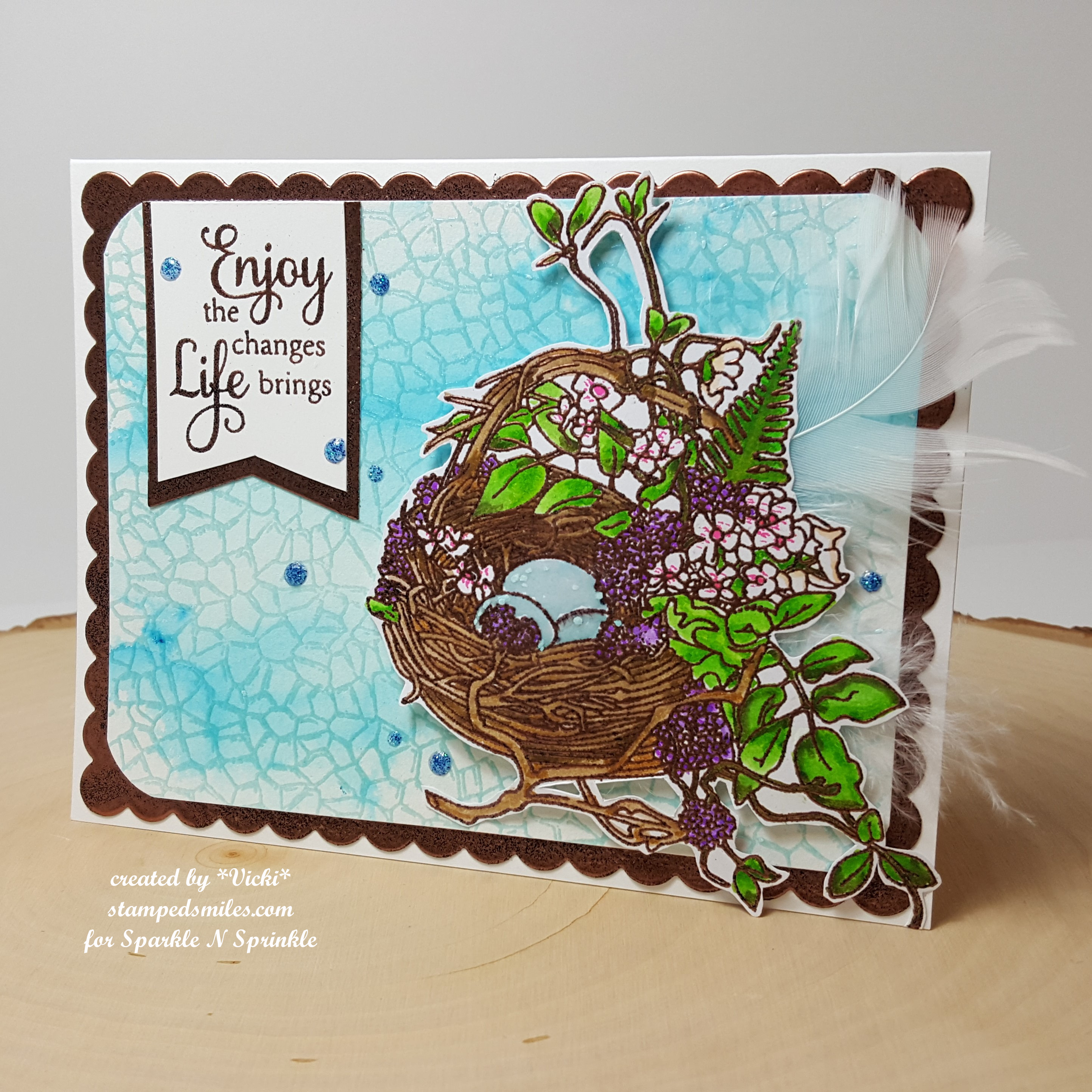 vicki-earlyspringnest-cardep-project2