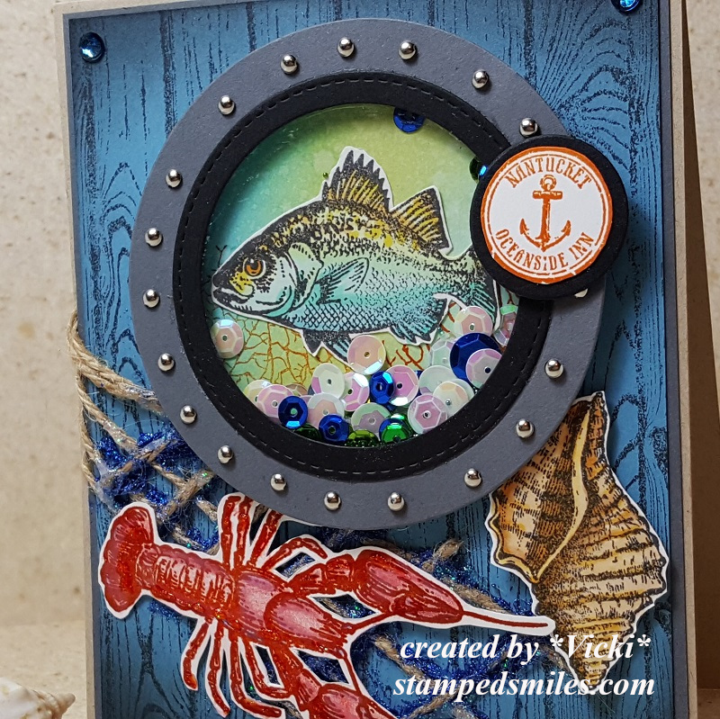 Vicki-CCT579-SU-close