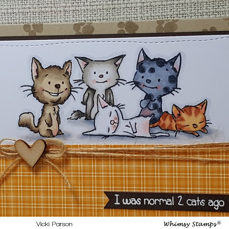 Vicki-WS-ADSKitties-close-April24