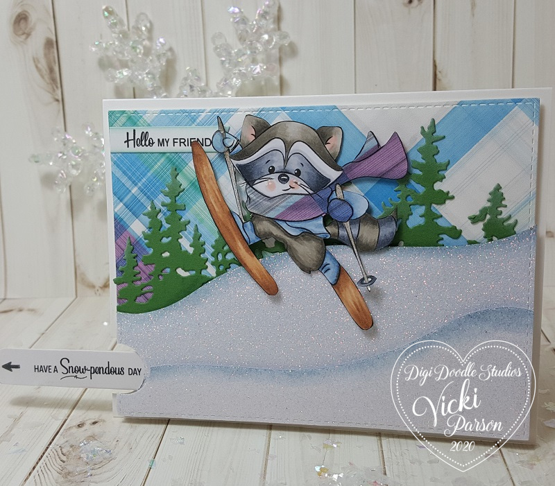 Vicki-DDS-Pull Tab Slider Racoon-close