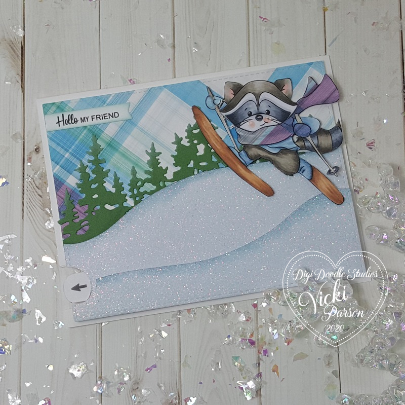 Vicki-DDS-Pull Tab Slider Racoon-flat