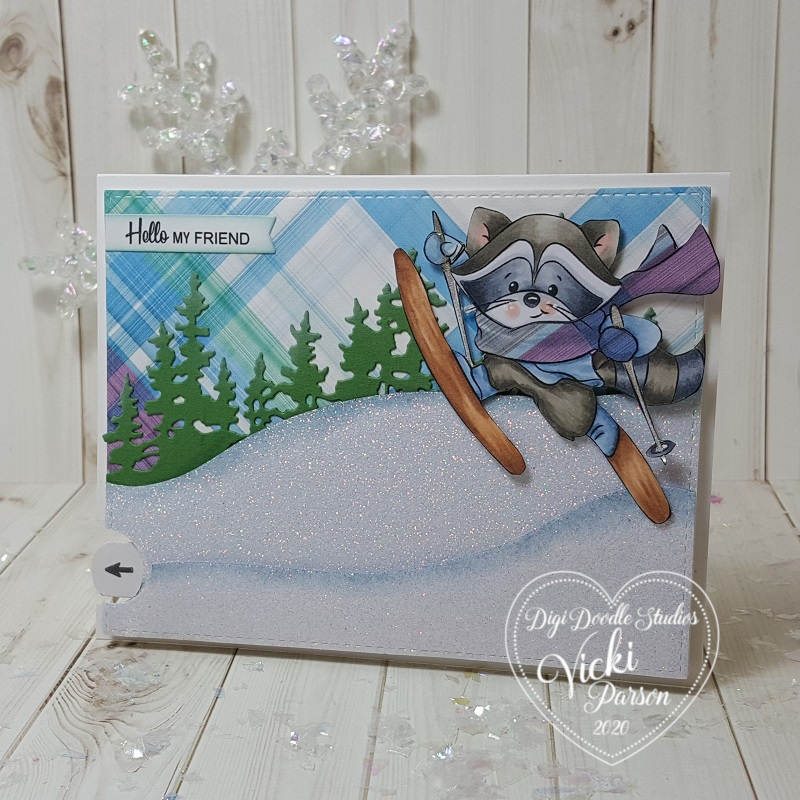 Vicki-DDS-Pull Tab Slider Racoon