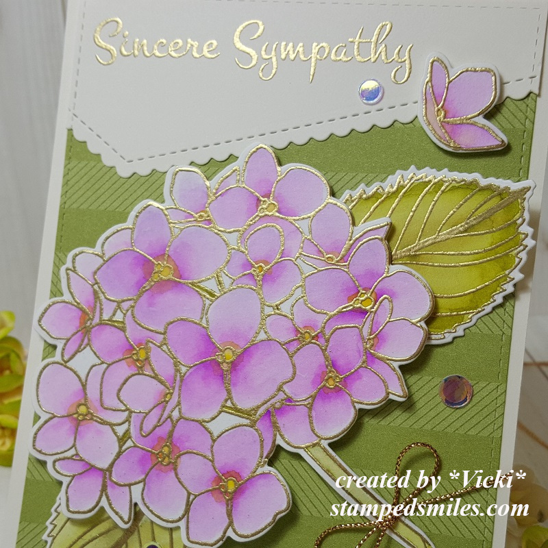 Vicki-RRCB127GDT-EHMondoHydrangea-close