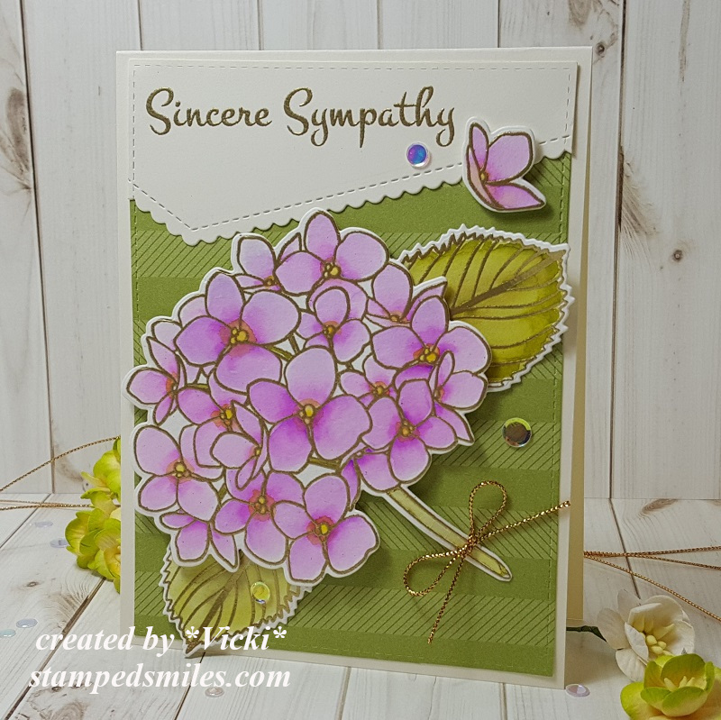 Vicki-RRCB127GDT-EHMondoHydrangea