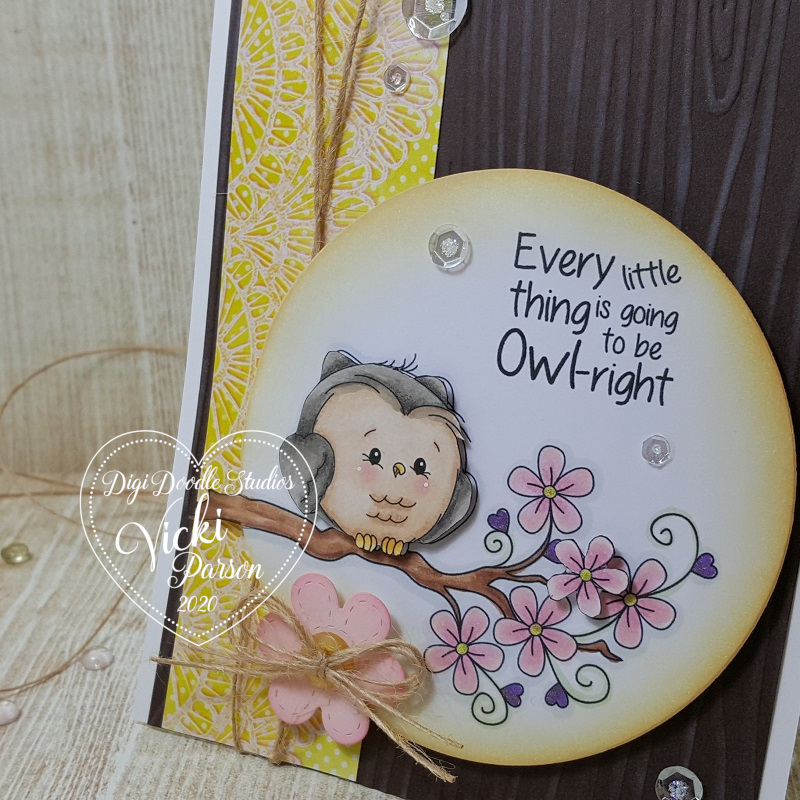 Vicki-DDSOwlright-close