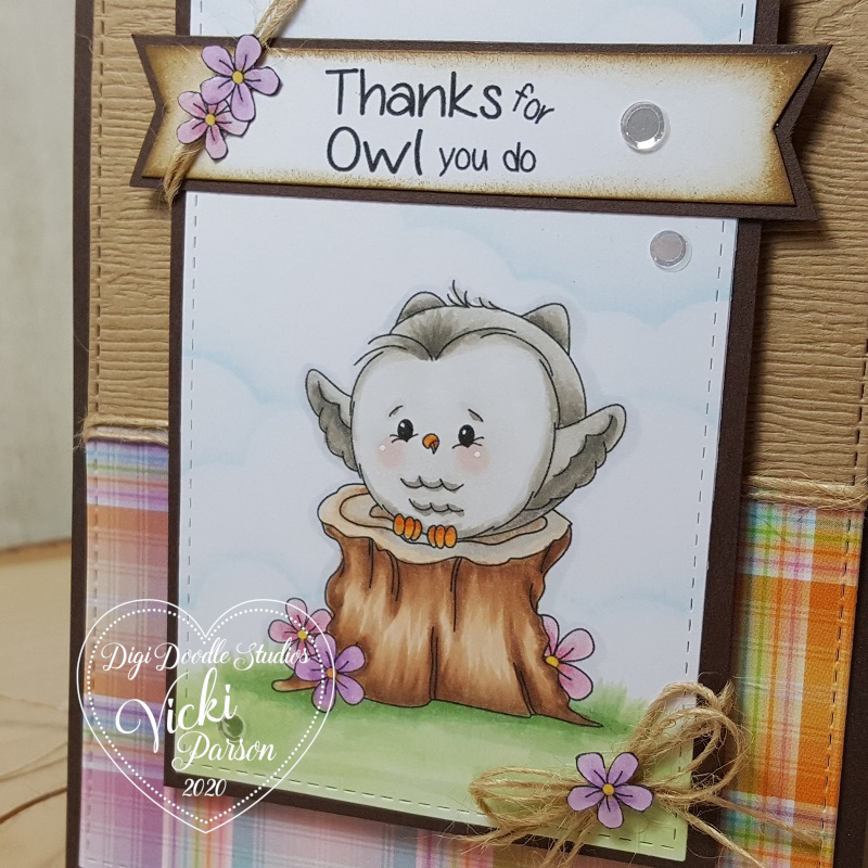 Vicki-Owlrageous2-close