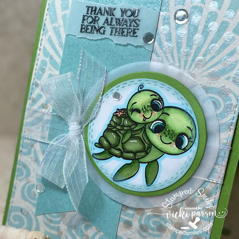 Vicki-BRMturtle-close