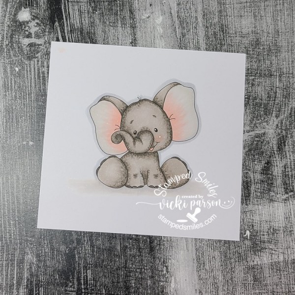 Vicki-DDS-New Little Ones