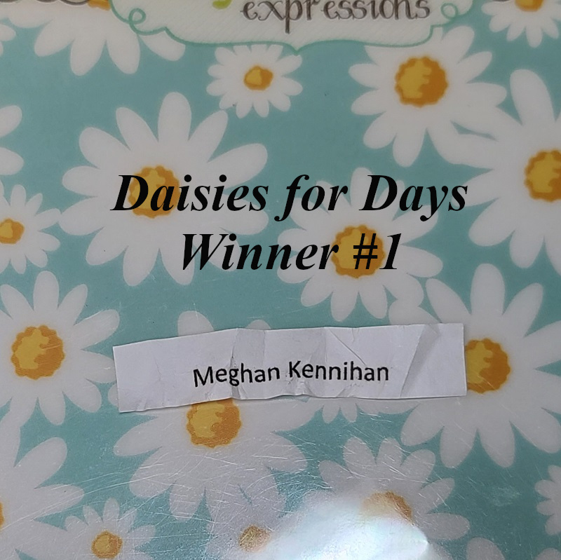 stampedsmiles.com giveaway Daisies For Days Winner 1