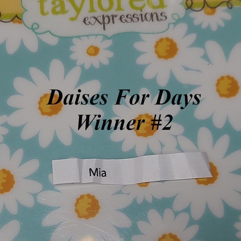 stampedsmiles.com giveaway Daisies For Days Winner 2